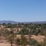 Dias Проживание в семье Фузета