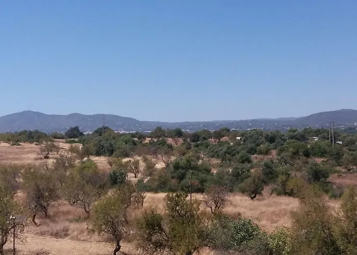 Dias ホームステイ フゼタ