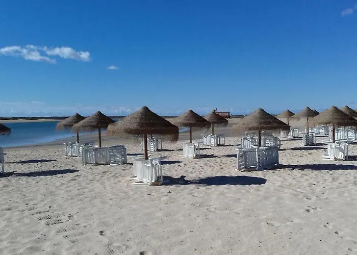 Dias ホームステイ